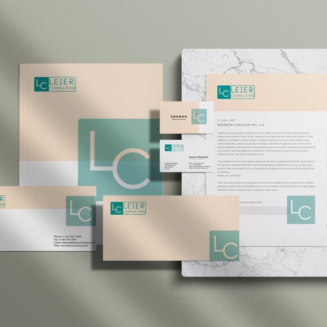 Leier Consulting project by Atomik Media